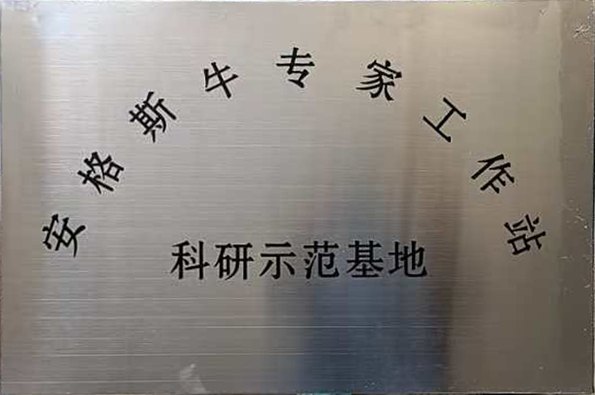 省农业科学院畜牧研究所安格斯牛专家工作站