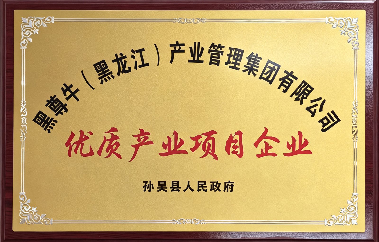 孙吴县优质产业项目企业